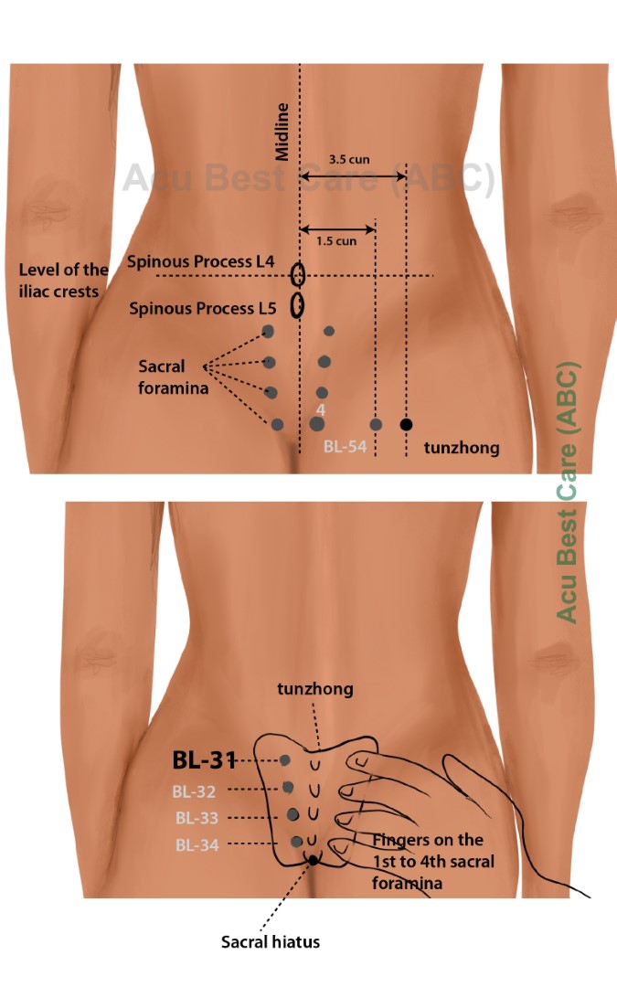 Acubestcare Meridian UB-31 or BL-31